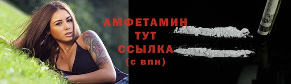 твердый Сосновый Бор