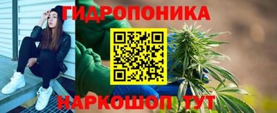 шишки Конаково