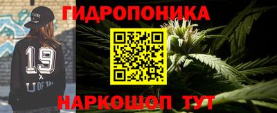 шишки Конаково